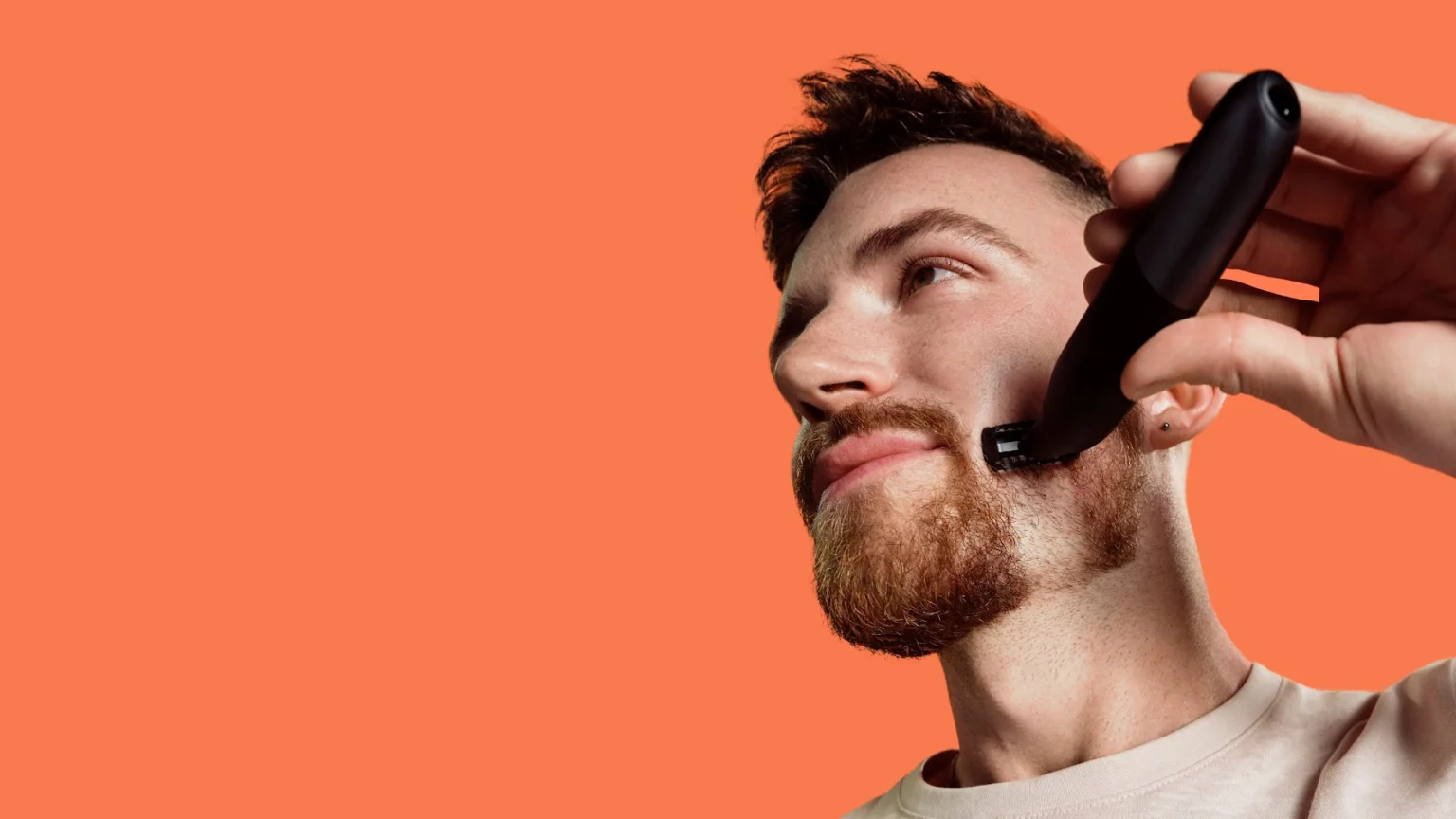 braun bolt 01 desktop