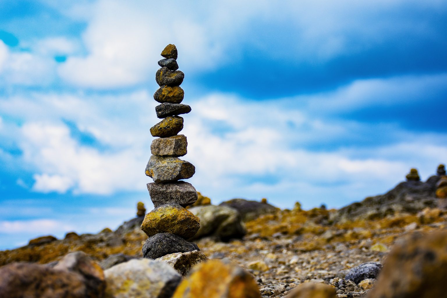 coldplunge litecelebrities.com