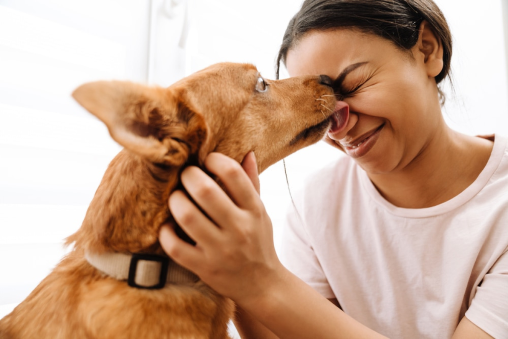 Why Does My Dog Lick So Much Understanding Excessive Licking 1