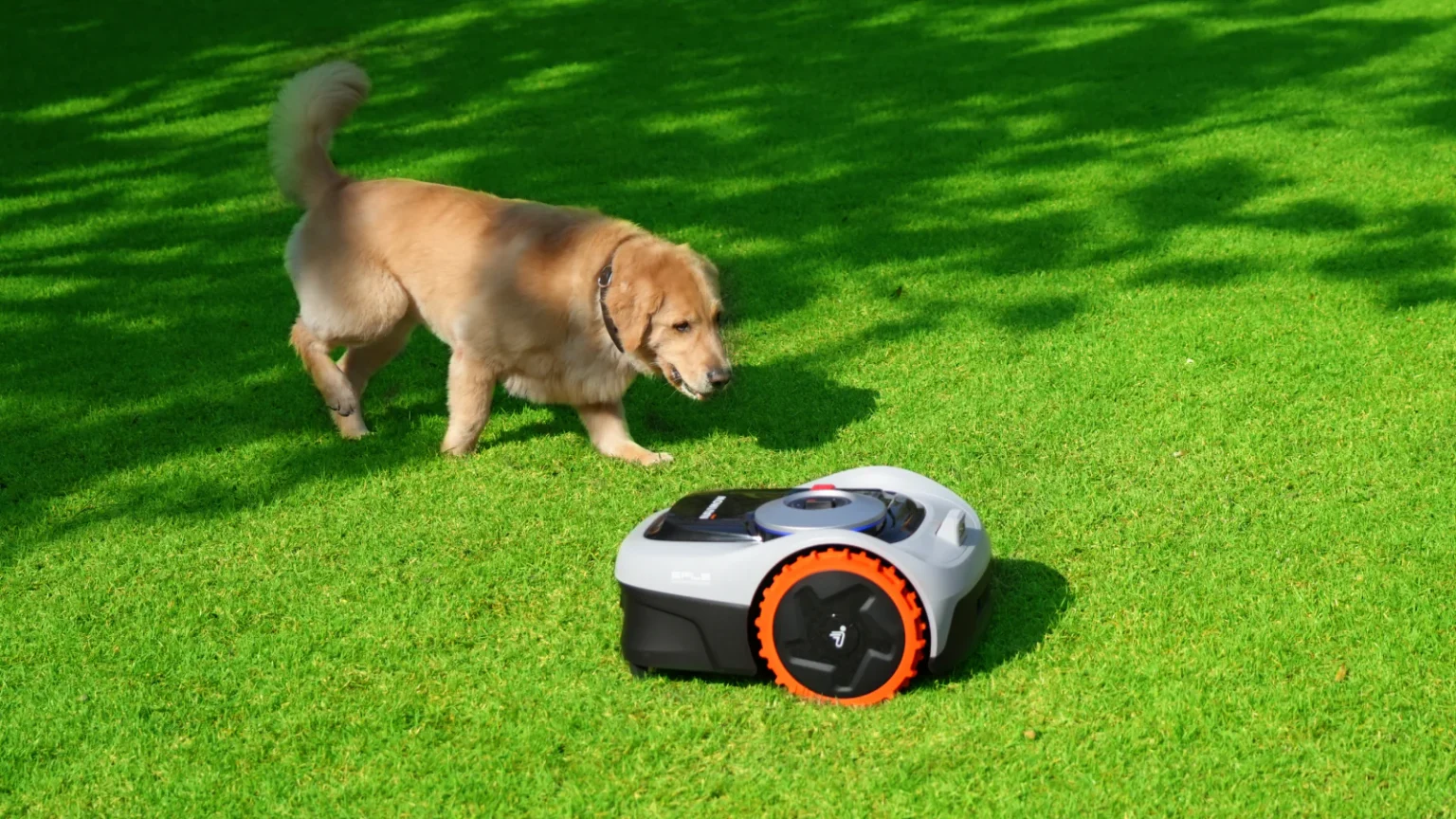Top 10 Lawn Care Tools for A Perfect American Yard Are Smart Lawn Mowers Safe for Pets and Children